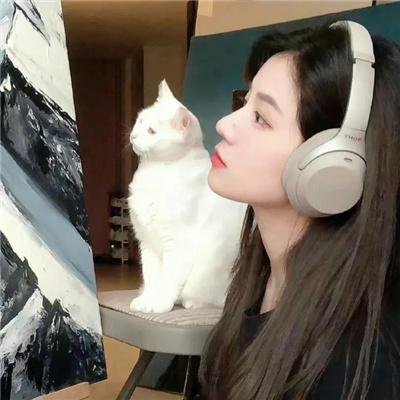 从前有个傻子特工